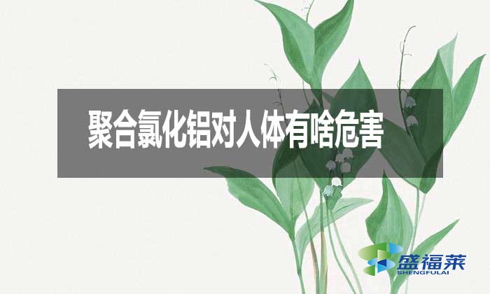 聚合氯化鋁對人體有啥危害？